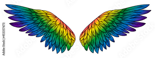 Beautiful magic bright rainbow wings, vector illustration