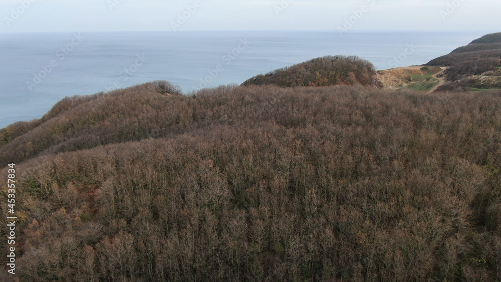 Fototapeta premium Aerial shot of autumn forest and seascape. Turkey forest fires