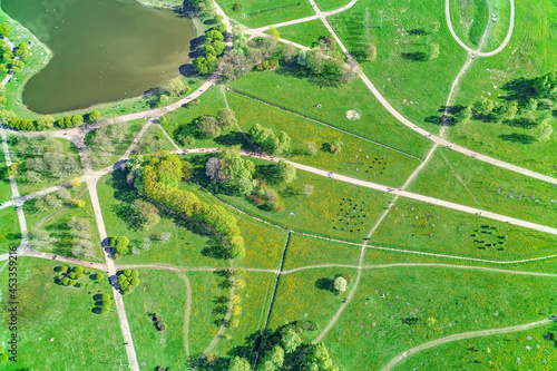 Paths in the bright green s...