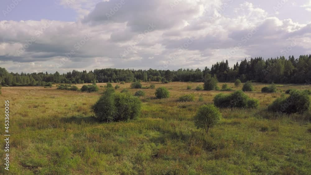 Panoramic landscape with a field and forest overgrown with bushes. Low altitude flight forward in 4k Panoramic landscape with a field and forest overgrown with bushes. Low altitude flight forward in 4k