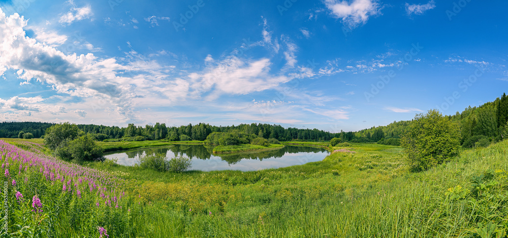 Obraz premium Summer panoramic landscape with Ivan tea, Chamaenerion, wildflowers and trees on a wide meadow, a winding river and a forest in the distance, clouds in the blue sky