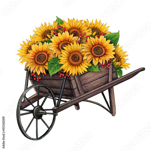 watercolor vintage wooden wheelbarrow with sunflowers