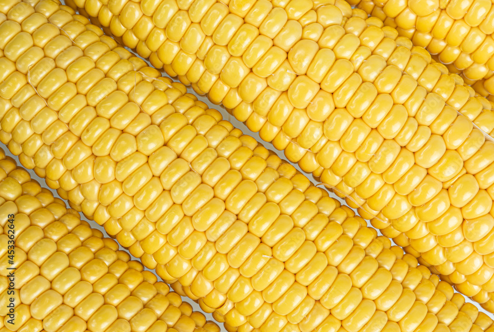 Cob Corn yellow natural Texture Close up Cob Corn yellow natural Texture Close up