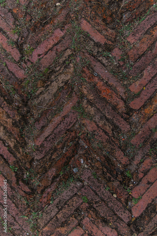 Surface detail of brick path with grass in between