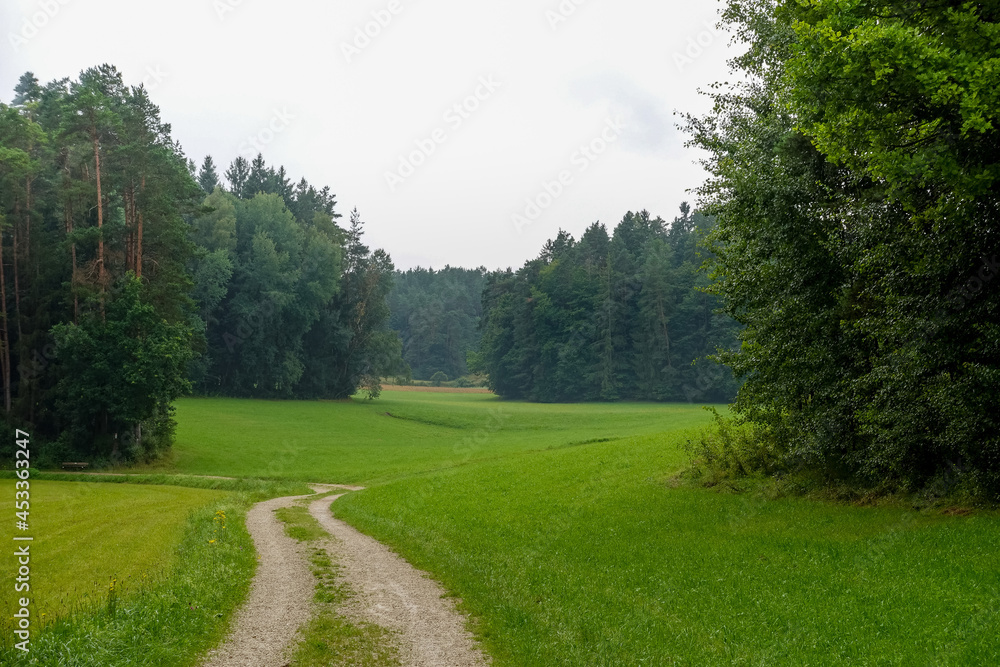Obraz premium Wanderweg entlang des Waldrands bei Neuhaus an der Pegnitz, fränkische Schweiz, 2021