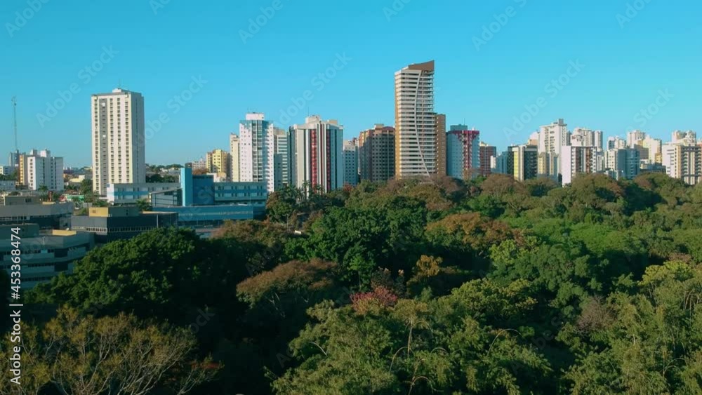 Aerial view of the city of Goiânia, Brazil, tropical trees of the Areião Park surrounded by residential buildings Aerial view of the city of Goiânia, Brazil, tropical trees of the Areião Park surrounded by residential buildings