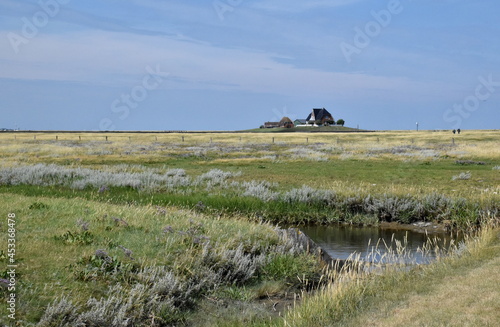 Hallig Nordstrandischmoor in Schleswig-Holstein photo