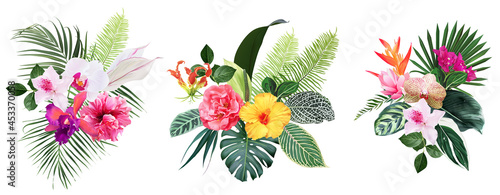 Exotic tropical flowers, orchid, strelitzia, hibiscus, bougainvillea, gloriosa, palm, monstera