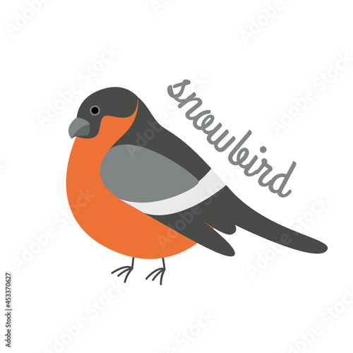 Cute bullfinch bird isolated on white background. Vector illustration.
