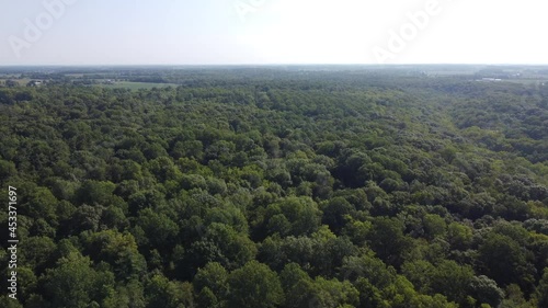 flying over trees rotating down