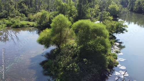 fly up focus on trees in river