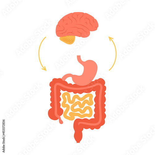 Gut brain connection