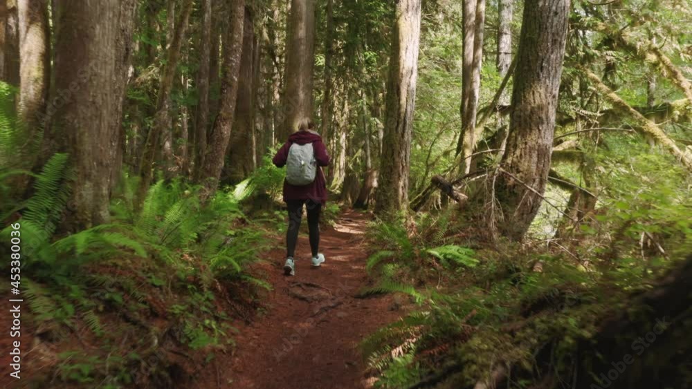 Happy tourist girl walking cinematic rainforest northwest National park in Washington state, Usa tourism concept 4K footage. People enjoying beautiful nature wilderness, green forest covered by moss Happy tourist girl walking cinematic rainforest northwest National park in Washington state, Usa tourism concept 4K footage. People enjoying beautiful nature wilderness, green forest covered by moss