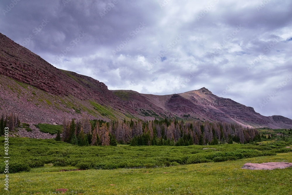 Fototapeta premium Henry’s Fork hiking trail view towards Kings Peak in Uintah Rocky Mountains in summer, Ashley National Forest, High Uintas Wilderness, Utah. United States. USA