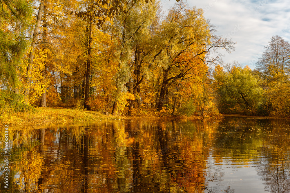Scenic landscape of golden foliage on trees. Autumnal colorful landscape with red, yellow and orange leaves. Reflection of picturesque view in the lake. Autumn concept. Change of season. HDR photo.