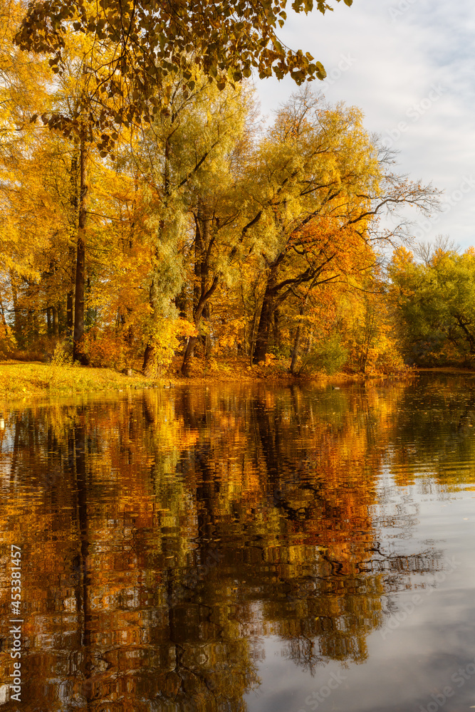 Scenic landscape of golden foliage on trees. Autumnal landscape with red, yellow and orange leaves. Reflection of picturesque view in the lake. Autumn concept. Change of season. Vertical HDR photo. Scenic landscape of golden foliage on trees. Autumnal landscape with red, yellow and orange leaves. Reflection of picturesque view in the lake. Autumn concept. Change of season. Vertical HDR photo.