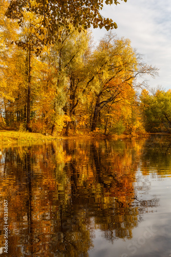 Scenic landscape of golden foliage on trees. Autumnal landscape with red, yellow and orange leaves. Reflection of picturesque view in the lake. Autumn concept. Change of season. Vertical HDR photo.
