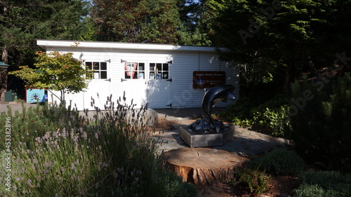 San Juan Island