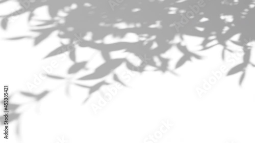 abstract background of shadow palm leaves in wind overlay on a white wall background