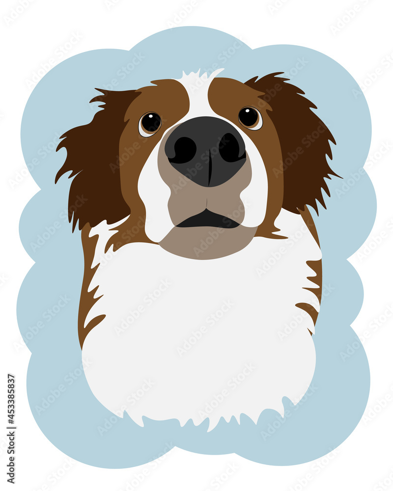 Australian Shepherd Dog Australian Shepherd Dog