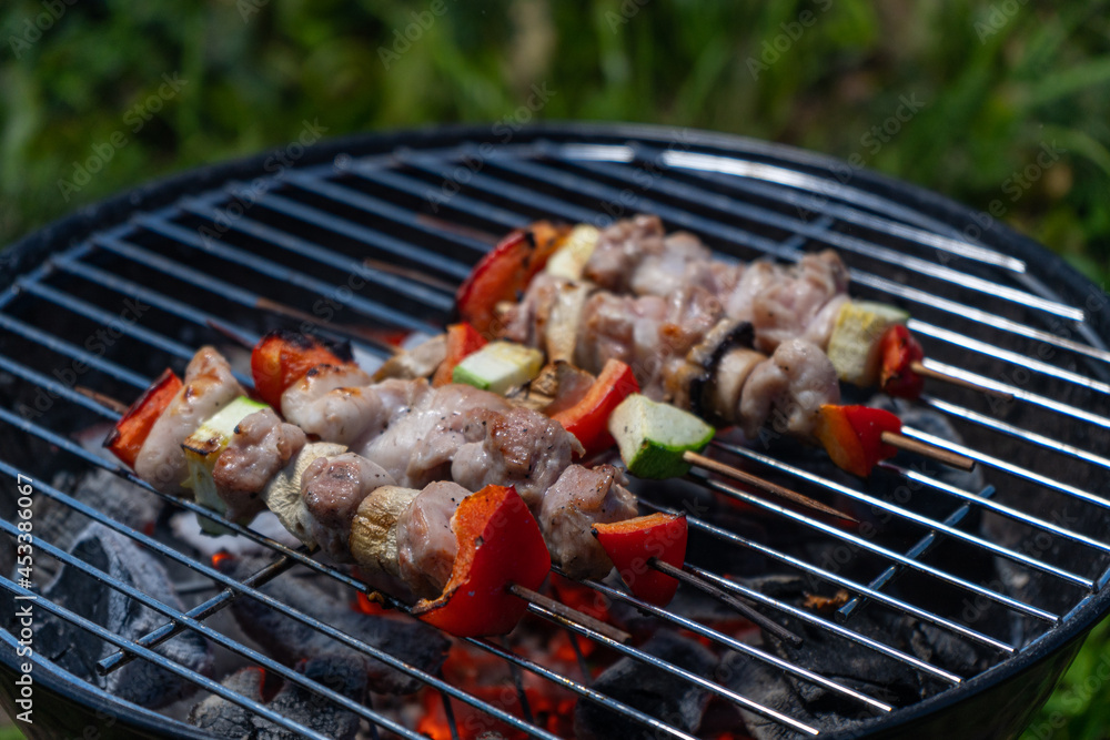 Picnic on the grass. Yakitori with chicken and vegetables, grilled. Picnic on the grass. Yakitori with chicken and vegetables, grilled.