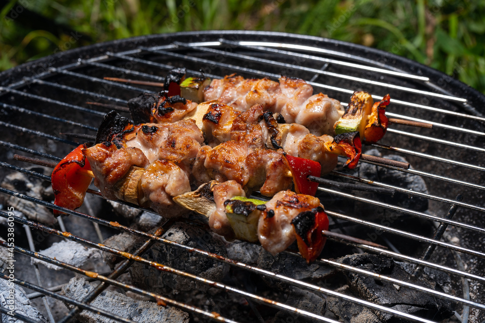 Picnic on the grass. Yakitori with chicken and vegetables, grilled. Cooked meat with a crispy crust. Picnic on the grass. Yakitori with chicken and vegetables, grilled. Cooked meat with a crispy crust.
