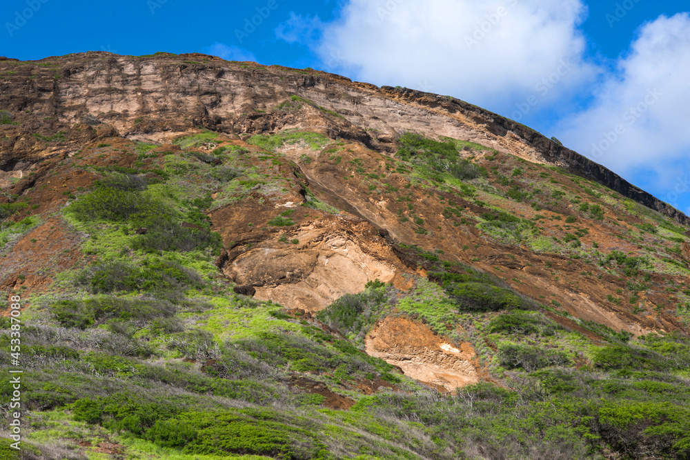 Grassy hill on Oahu Island, Hawaii.