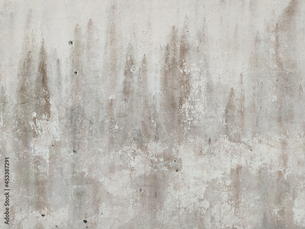 abstract texture of a moldy wall abstract texture of a moldy wall