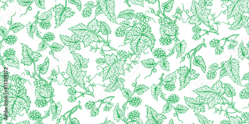 Hop plant branch hand drawn green sketch set. Hops with leaves and cones angular herb design drawn engraving style. Sketches for beer packing design logo, label, emblem, packing, pattern