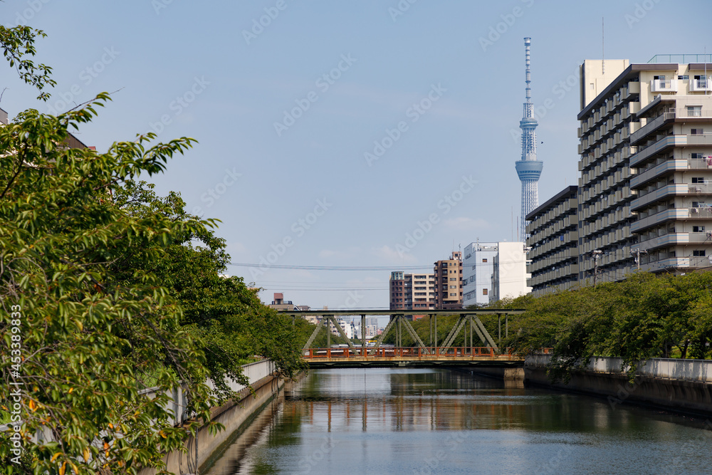 江東区の大栄橋から見た大横川沿いの景色