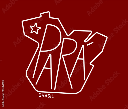 Geometric map of the brazilian state of Pará
