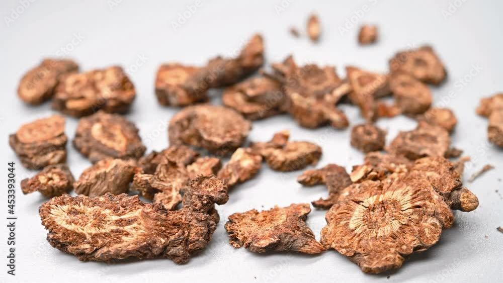 angle pan herb QiangHuo or Notopterygii Rhizoma et Radix or Incised Notopterygium Rhizome and Root angle pan herb QiangHuo or Notopterygii Rhizoma et Radix or Incised Notopterygium Rhizome and Root