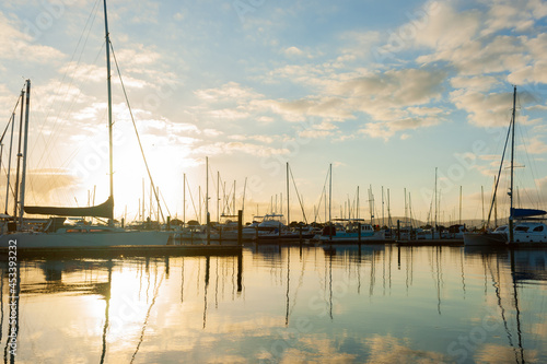 Golden sunrise backlights Tauranga marina