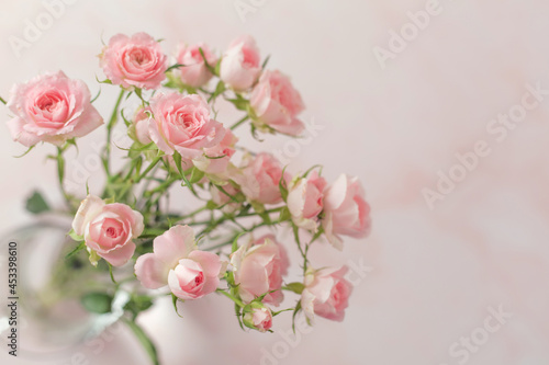 ピンクの背景にピンクの薔薇の花束 © hirobirock