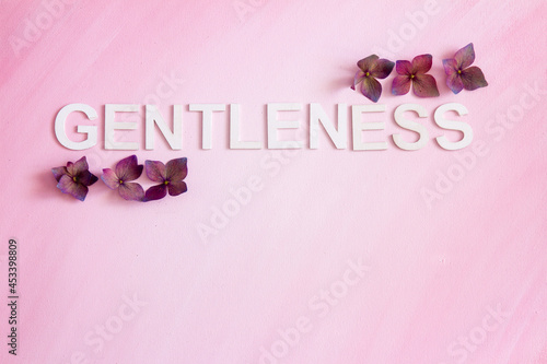 The word, GENTLENESS, spelled in capital letters written horizontally with hydrangea flowers; the word, GENTLENESS, placed on a pink painterly background with room for text