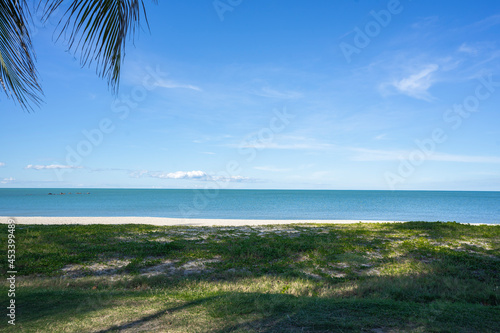 beach with trees and sand on the summer