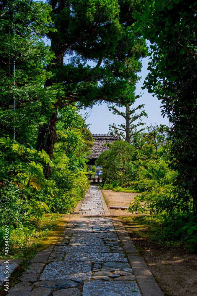 path in the park