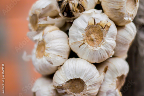 A close up to the white garlic 