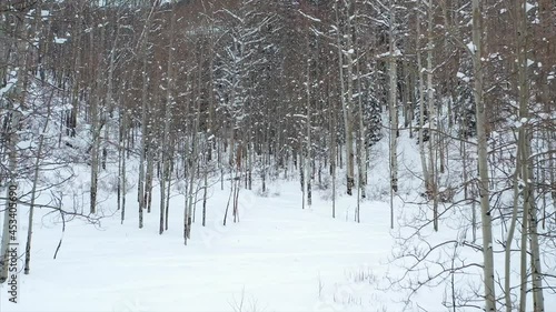 Aerial over snow frosted, winter landscapes.