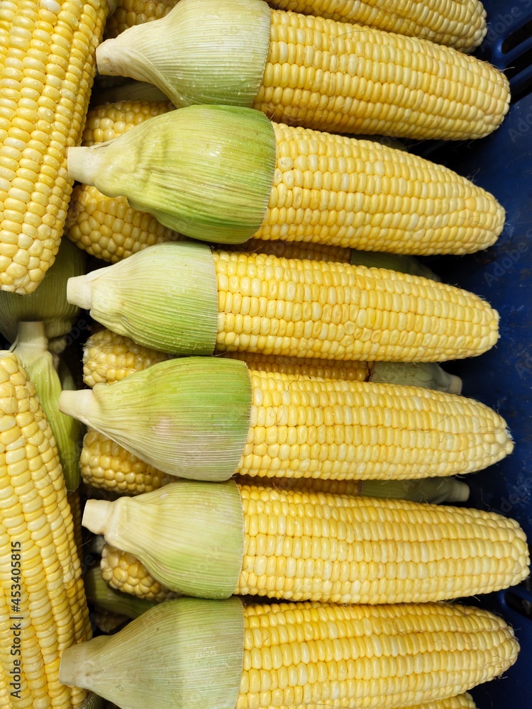 Fresh Organic Yellow Sweet Corn Seed Fresh Organic Yellow Sweet Corn Seed