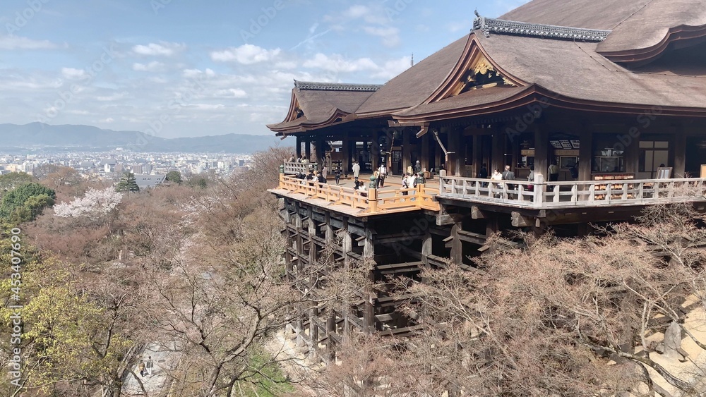 Fototapeta premium 清水寺 京都