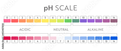 pH Value scale chart. Acid-base balance infographic. Education Poster