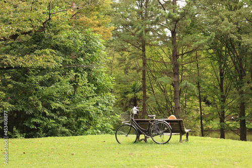 A young woman relaxing after cycling on a bench in park. Kokukoen park, Tokorozawa, Japan photo