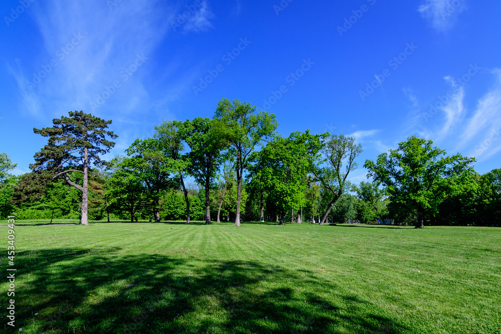 Landscape with old green trees in Mogosoaia Park (Parcul Mogosoaia), a weekend attraction close to Bucharest, Romania, in a sunny spring day. Landscape with old green trees in Mogosoaia Park (Parcul Mogosoaia), a weekend attraction close to Bucharest, Romania, in a sunny spring day.