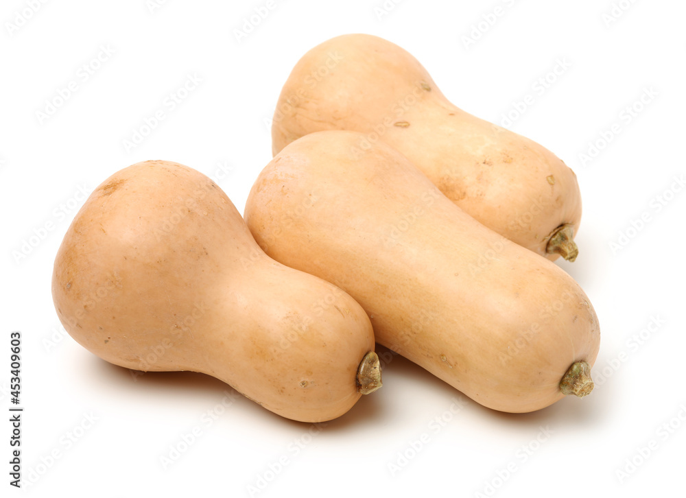 butternut squash isolated on white background. butternut squash isolated on white background.
