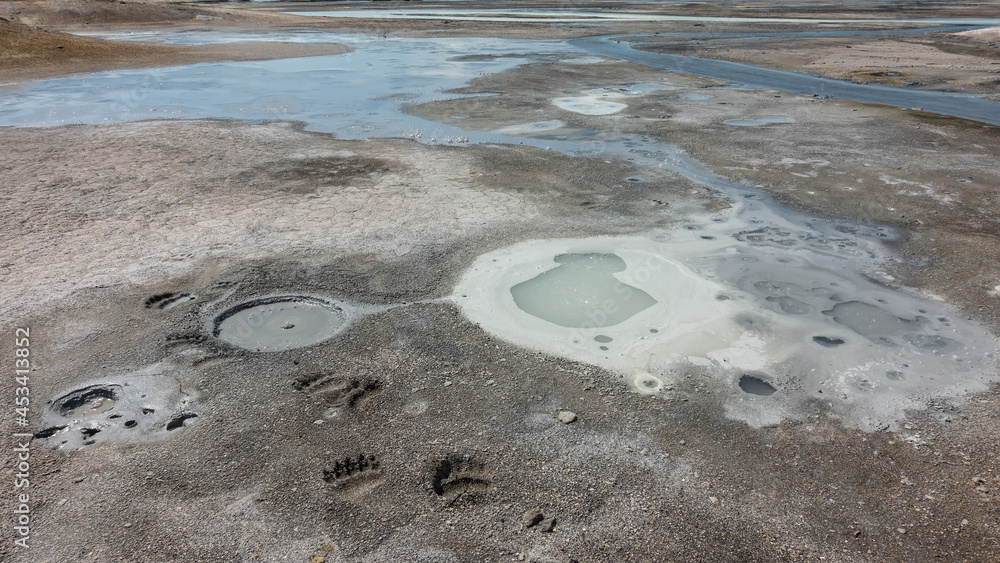 There are streams and puddles in the caldera of an extinct volcano. Sulfur deposits in the soil. There are traces of bear paws on the sand. Kamchatka Uzon There are streams and puddles in the caldera of an extinct volcano. Sulfur deposits in the soil. There are traces of bear paws on the sand. Kamchatka Uzon
