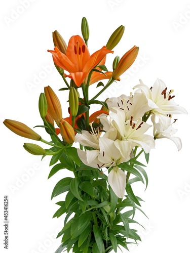 bunch of white and orange lilies isolated close up