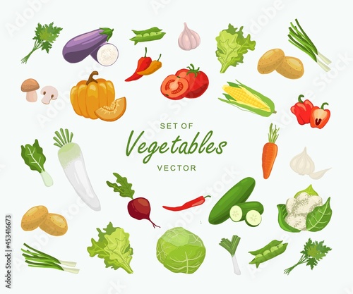 Set of vegetable ilustration vector