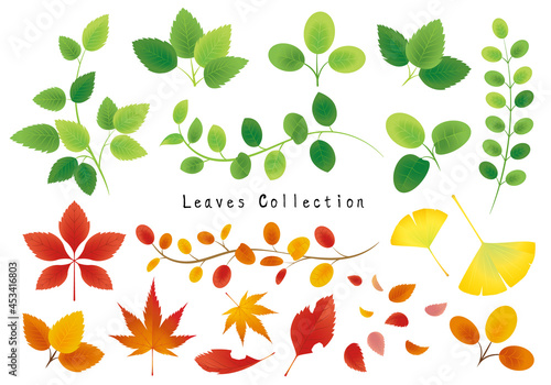 季節の葉コレクション