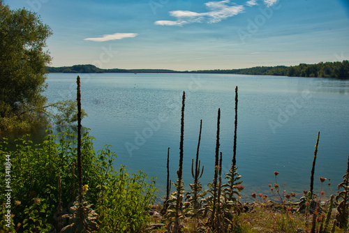 Lac de Michelbach in den s  dlichen Vogesen in Frankreich